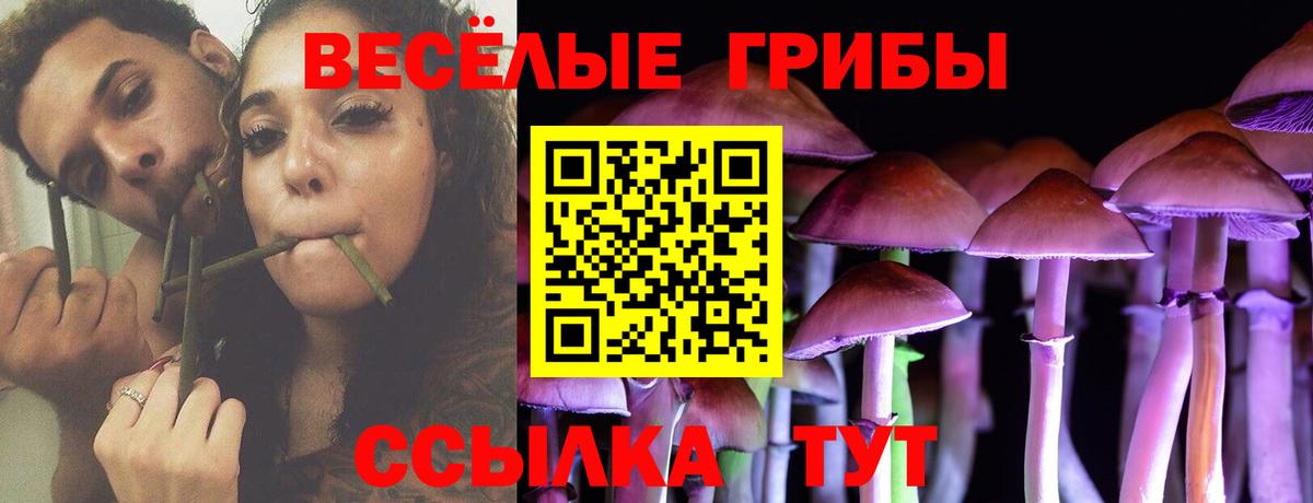 Псилоцибиновые грибы Psilocybine cubensis Тихорецк